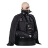 Gentle Giant - Büste 1/6 Darth Vader (unhelmeted) - Star Wars Episode VI