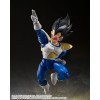 Bandai Tamashii - Dragon Ball Z - KYEWI - SHF SHFiguarts - KIWI