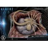 Prime 1 Studio - Aliens Premium Masterline Series Statuette Xenomorph Egg Open Version - Ovomorph