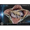 Prime 1 Studio - Aliens Premium Masterline Series Statuette Xenomorph Egg Open Version - Ovomorph