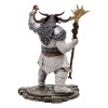 Mc Farlane Blizzard - Diablo IV - Druid Epic Version