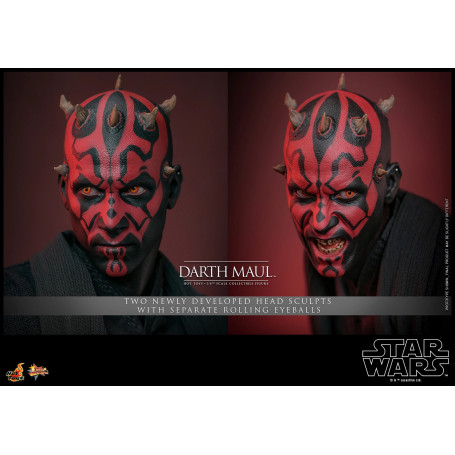 Hot Toys Star Wars The Phantom Menace - Darth Maul 2.0 Sammleredition MMS 1/6