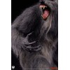 Premium Collectibles Studio PCS - THE HOWLING Epic Series 1/3 - Heulen