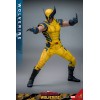 Hot Toys Marvel Deadpool & Wolverine - Wolverine MMS 1/6