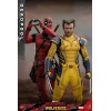 Hot Toys Marvel Deadpool & Wolverine - Deadpool Sammleredition MMS 1/6 
