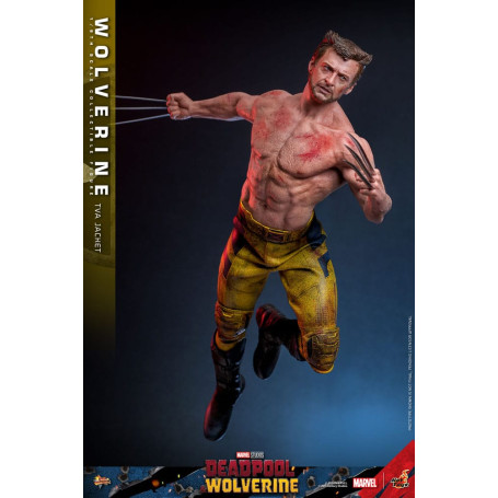 Hot Toys Marvel Deadpool & Wolverine - Wolverine TVA Jacket Version MMS 1/6