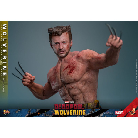 Hot Toys Marvel Deadpool & Wolverine - Wolverine TVA Jacket Version MMS 1/6
