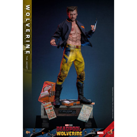 Hot Toys Marvel Deadpool & Wolverine - Wolverine TVA Jacket Version MMS 1/6