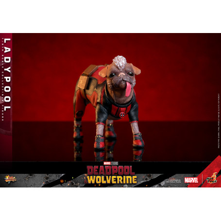 Hot Toys Marvel Deadpool & Wolverine - Lady Deadpool MMS 1/6