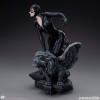 Tweeterhead Sideshow - DC Comics: Catwoman 1/6 Statuette