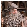 Weta - Radagast in Rhosgobel Limited Edition - Der Herr der Ringe Statuette 1/6