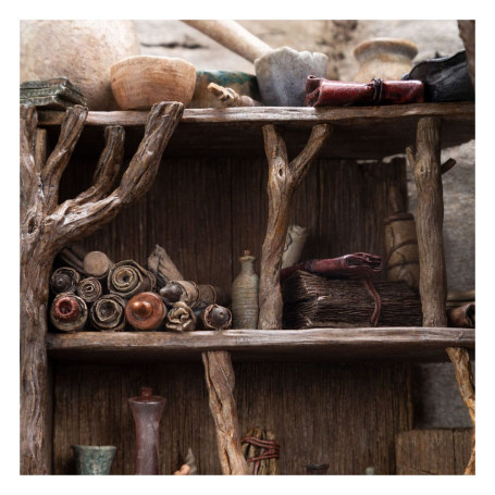 Weta - Radagast in Rhosgobel Limited Edition - Der Herr der Ringe Statuette 1/6