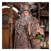 Weta - Radagast in Rhosgobel Limited Edition - Der Herr der Ringe Statuette 1/6