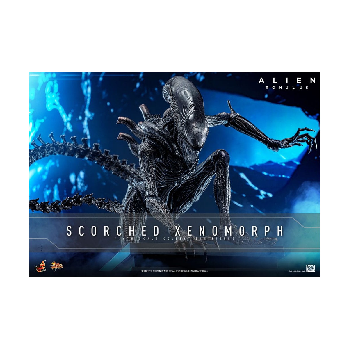 Hot Toys - Alien Romulus - Scorched Xenomorph MMS 1/6