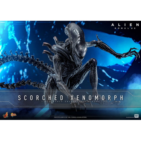 Hot Toys - Alien Romulus - Scorched Xenomorph MMS 1/6