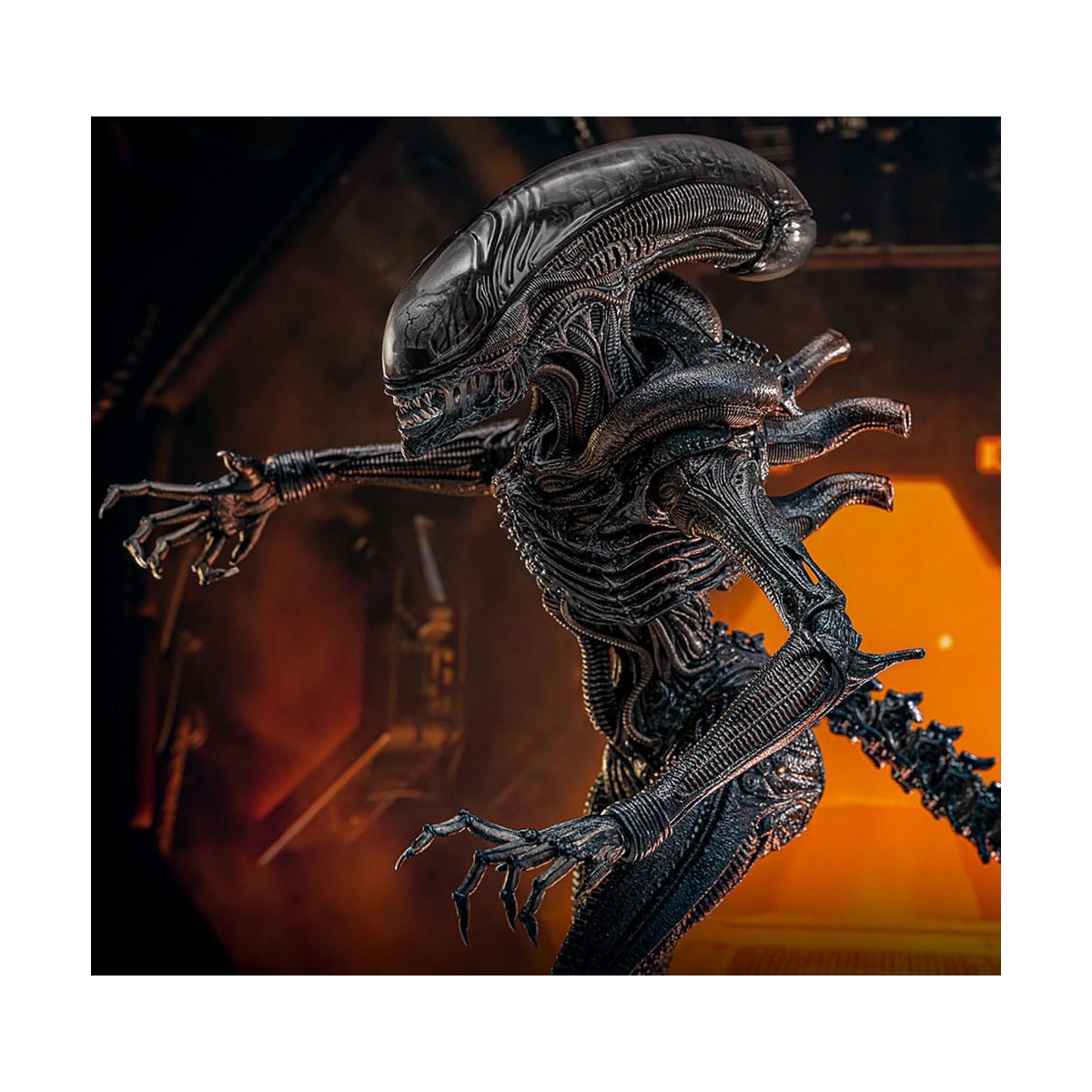 Hot Toys - Alien Romulus - Scorched Xenomorph MMS 1/6