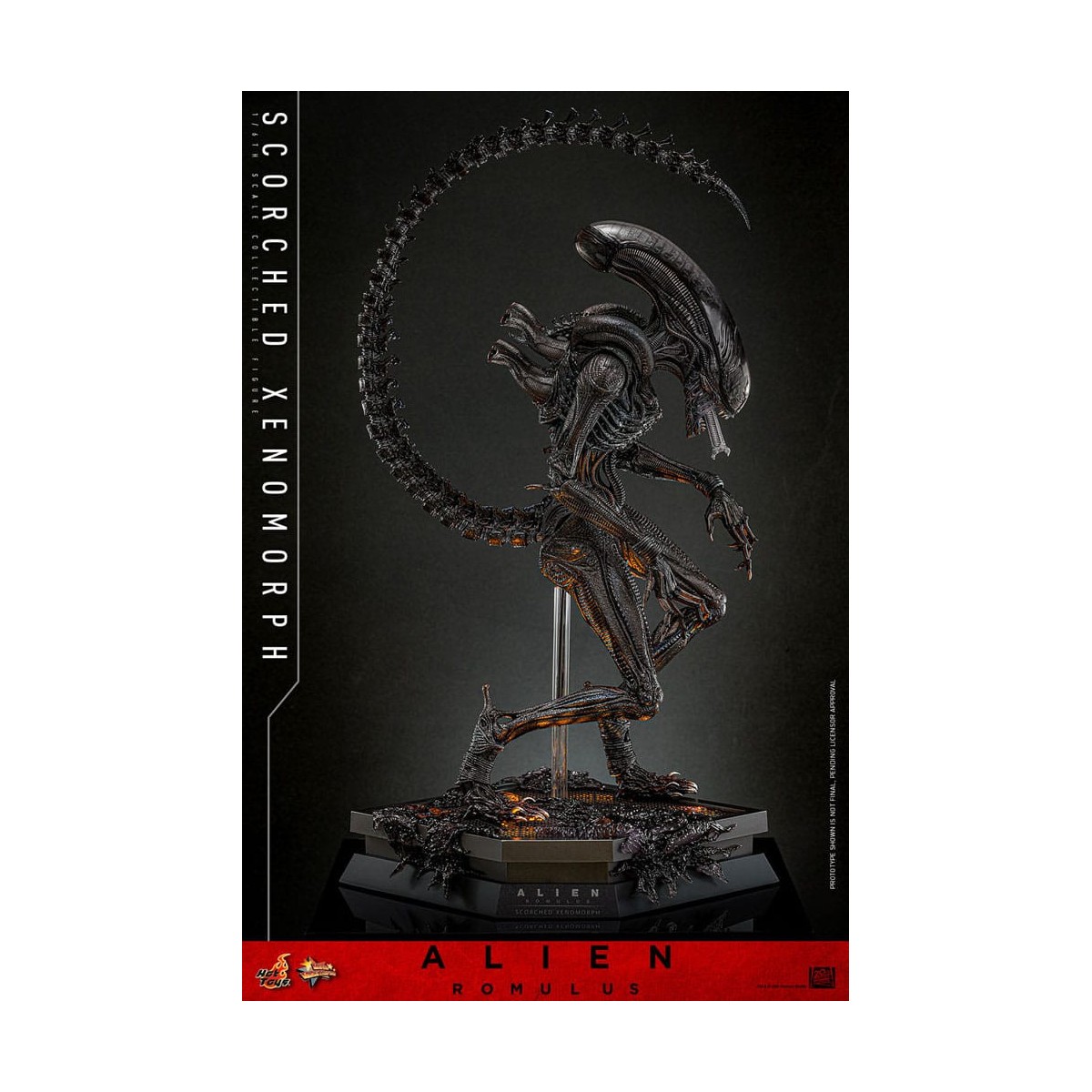 Hot Toys - Alien Romulus - Scorched Xenomorph MMS 1/6