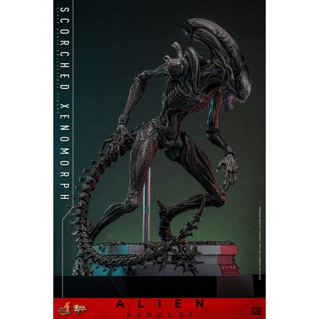 Hot Toys - Alien Romulus - Scorched Xenomorph MMS 1/6