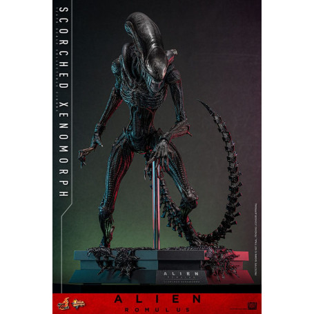 Hot Toys - Alien Romulus - Scorched Xenomorph MMS 1/6