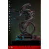Hot Toys - Alien Romulus - Scorched Xenomorph MMS 1/6