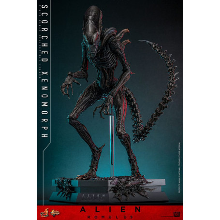 Hot Toys - Alien Romulus - Scorched Xenomorph MMS 1/6