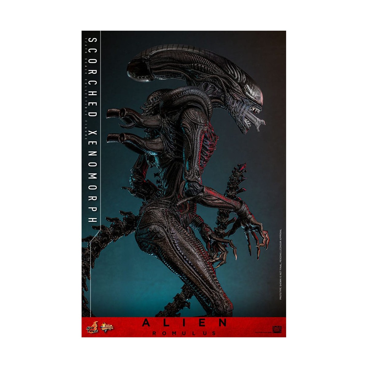 Hot Toys - Alien Romulus - Scorched Xenomorph MMS 1/6