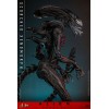Hot Toys - Alien Romulus - Scorched Xenomorph MMS 1/6