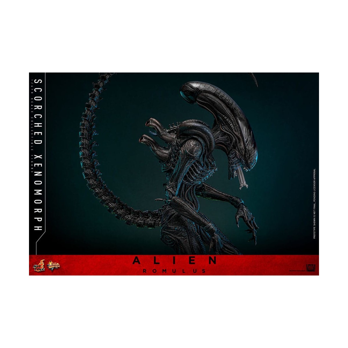 Hot Toys - Alien Romulus - Scorched Xenomorph MMS 1/6