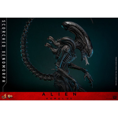 Hot Toys - Alien Romulus - Scorched Xenomorph MMS 1/6