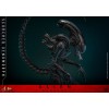 Hot Toys - Alien Romulus - Scorched Xenomorph MMS 1/6