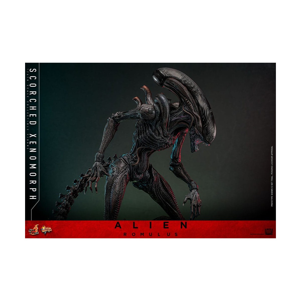 Hot Toys - Alien Romulus - Scorched Xenomorph MMS 1/6