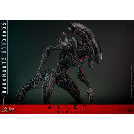 Hot Toys - Alien Romulus - Scorched Xenomorph MMS 1/6