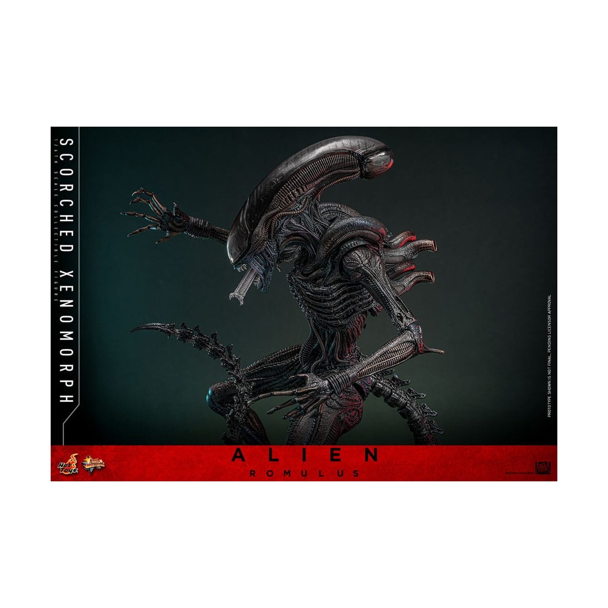 Hot Toys - Alien Romulus - Scorched Xenomorph MMS 1/6