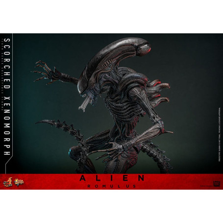 Hot Toys - Alien Romulus - Scorched Xenomorph MMS 1/6