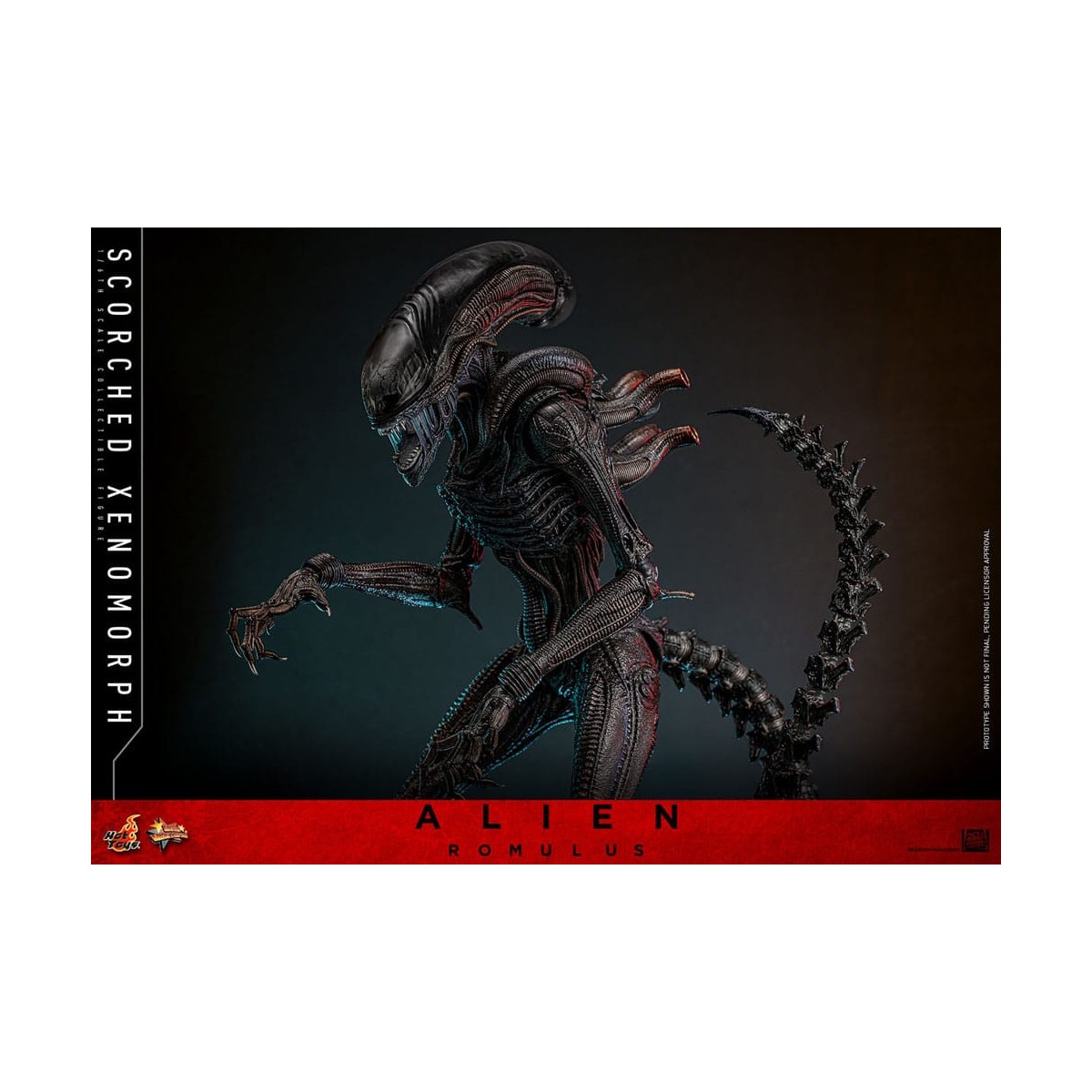 Hot Toys - Alien Romulus - Scorched Xenomorph MMS 1/6
