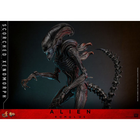 Hot Toys - Alien Romulus - Scorched Xenomorph MMS 1/6