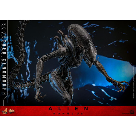 Hot Toys - Alien Romulus - Scorched Xenomorph MMS 1/6