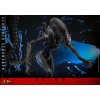 Hot Toys - Alien Romulus - Scorched Xenomorph MMS 1/6