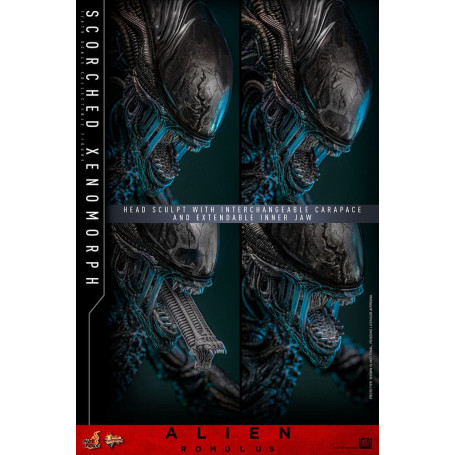 Hot Toys - Alien Romulus - Scorched Xenomorph MMS 1/6
