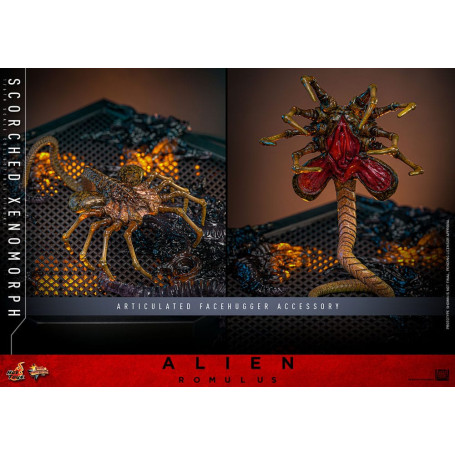 Hot Toys - Alien Romulus - Scorched Xenomorph MMS 1/6