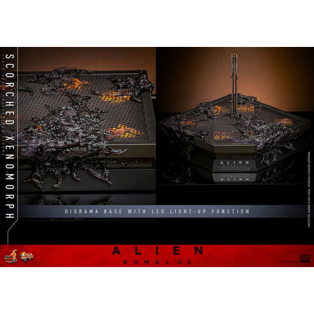 Hot Toys - Alien Romulus - Scorched Xenomorph MMS 1/6