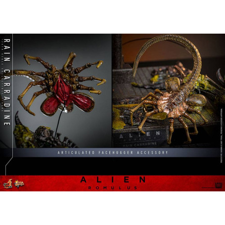 Hot Toys - Alien Romulus - Rain Carradine MMS 1/6