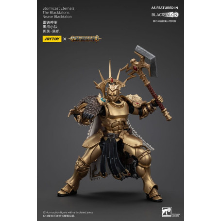 JoyToy - Stormcast Eternals The Blacktalons - Neave Blacktalon 1/18 - Warhammer Age of Sigmar