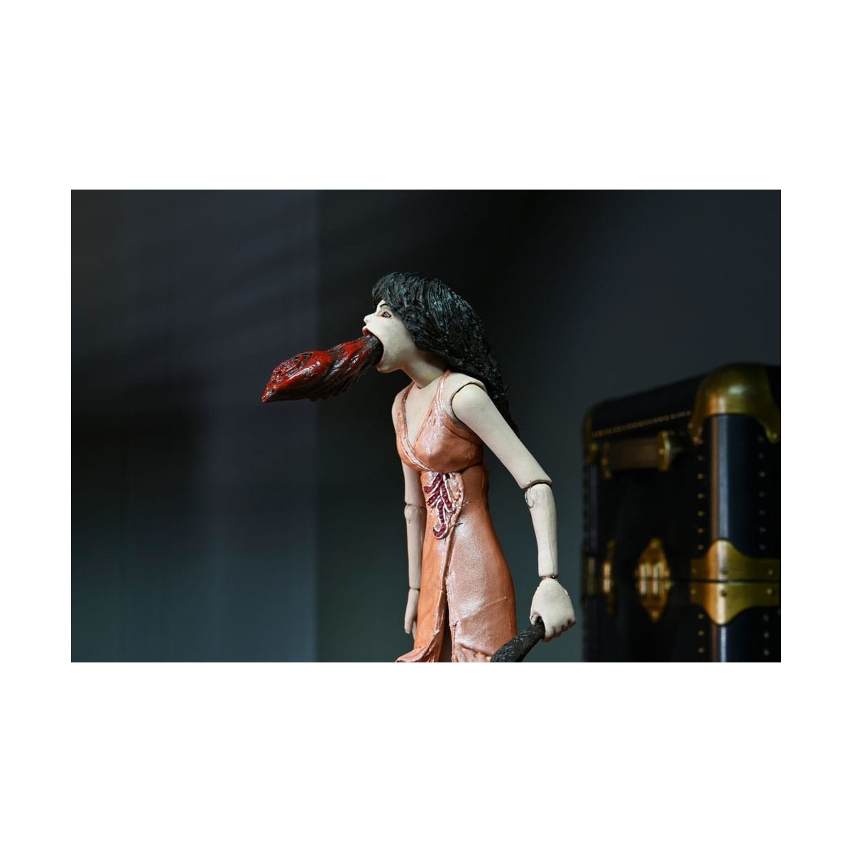 Neca - Puppet Master - Toulon's Puppet Case & Leech Woman
