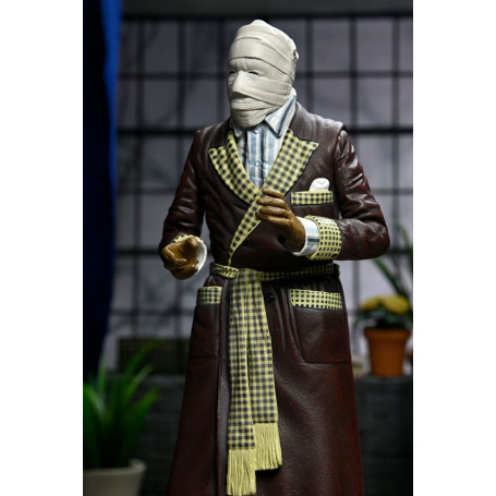 NECA - Ultimate The Invisible Man Kemp House (Color) - Universal Monsters