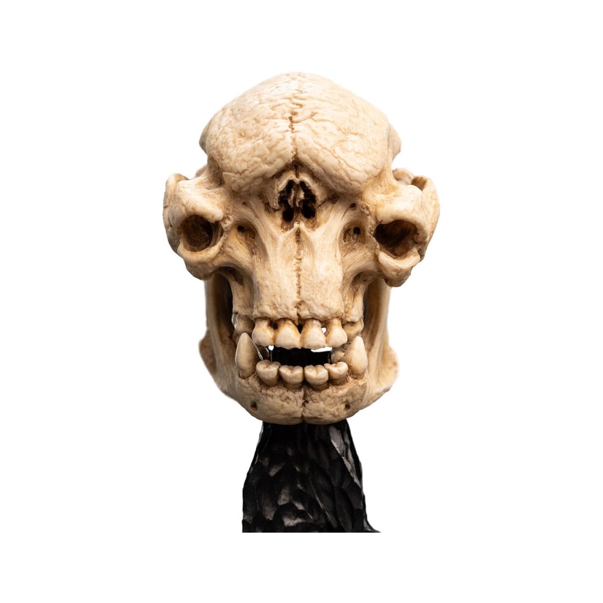 Weta - Der Herr der Ringe - Skull of a Cave Troll - LOTR