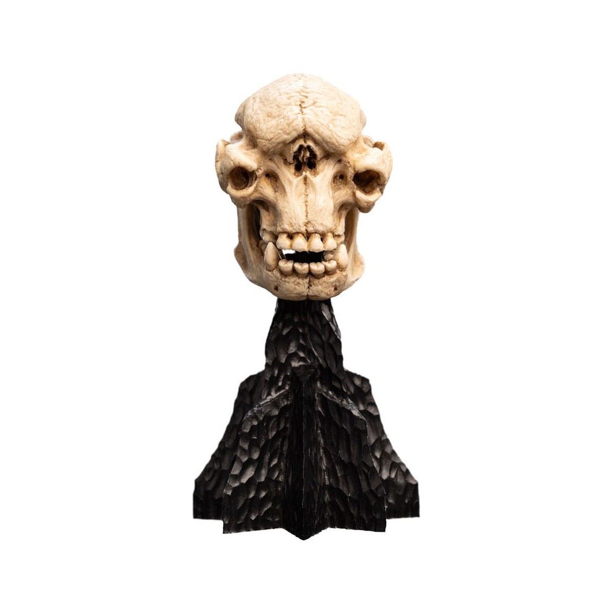 Weta - Der Herr der Ringe - Skull of a Cave Troll - LOTR