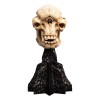 Weta - Der Herr der Ringe - Skull of a Cave Troll - LOTR