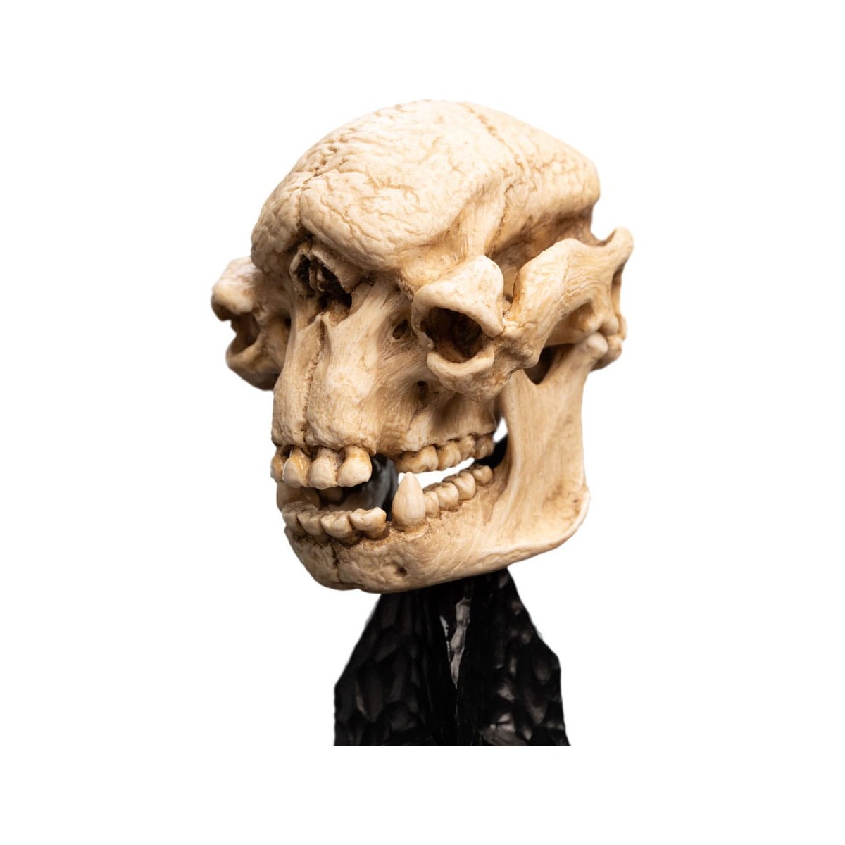 Weta - Der Herr der Ringe - Skull of a Cave Troll - LOTR