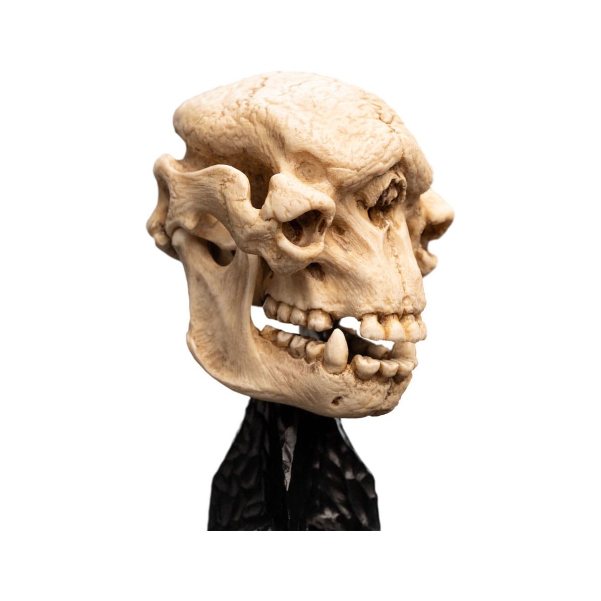 Weta - Der Herr der Ringe - Skull of a Cave Troll - LOTR